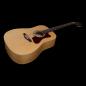 Preview: Norman B20 Natural GT Presys II