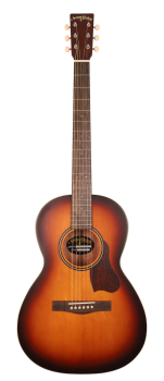 Anchor Guitars Sparrow Burst
