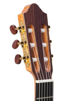 Kremona Performer Fiesta F65CW-SB