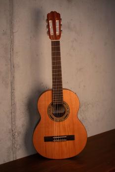 Kremona Soloist R53C OP 1/2 Fractional