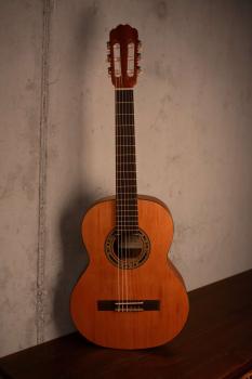 Kremona Soloist R56C OP 3/4 Fractional