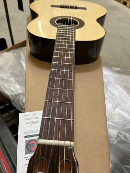 Kremona Soloist F65S