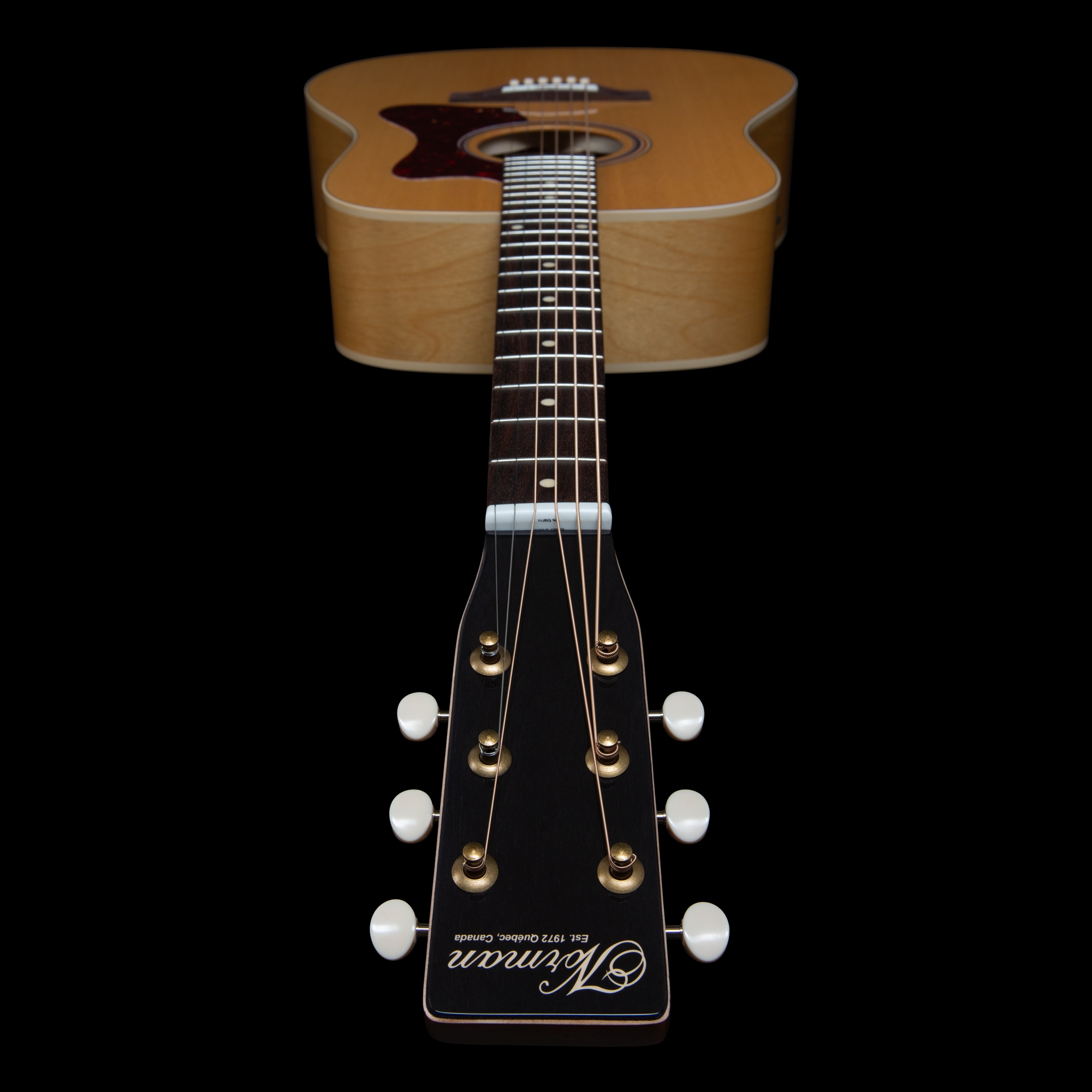 Musicians Gear - Norman B20 Natural GT Presys II