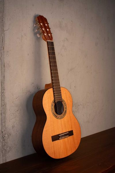 Kremona Soloist R53C OP 1/2 Fractional