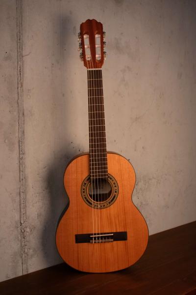 Kremona Soloist R53C OP 1/2 Fractional