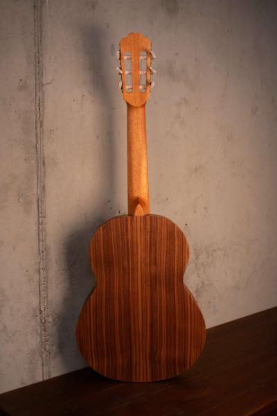 Kremona Soloist R53C OP 1/2 Fractional