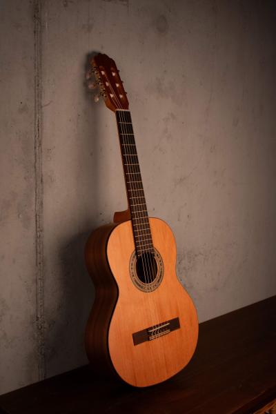 Kremona Soloist R56C OP 3/4 Fractional