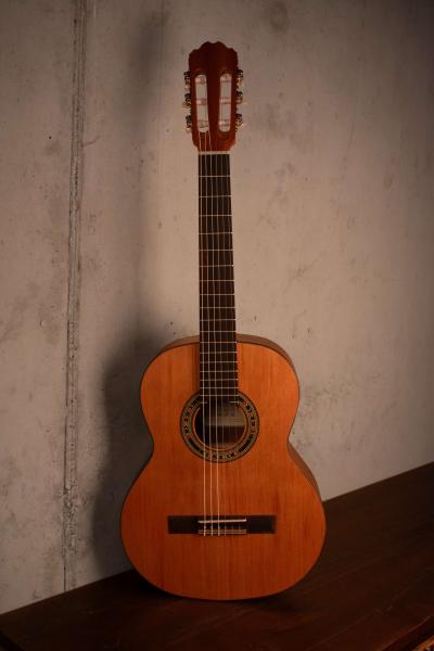 Kremona Soloist R56C OP 3/4 Fractional