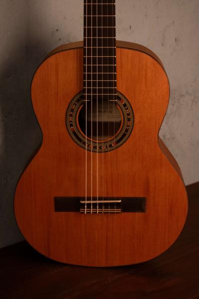 Kremona Soloist R56C OP 3/4 Fractional