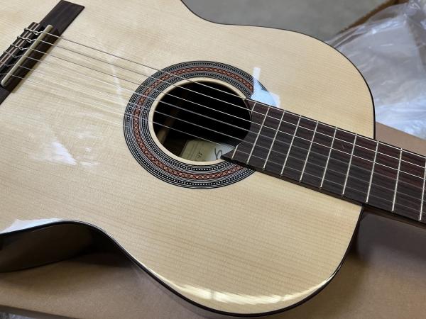 Kremona Soloist F65S